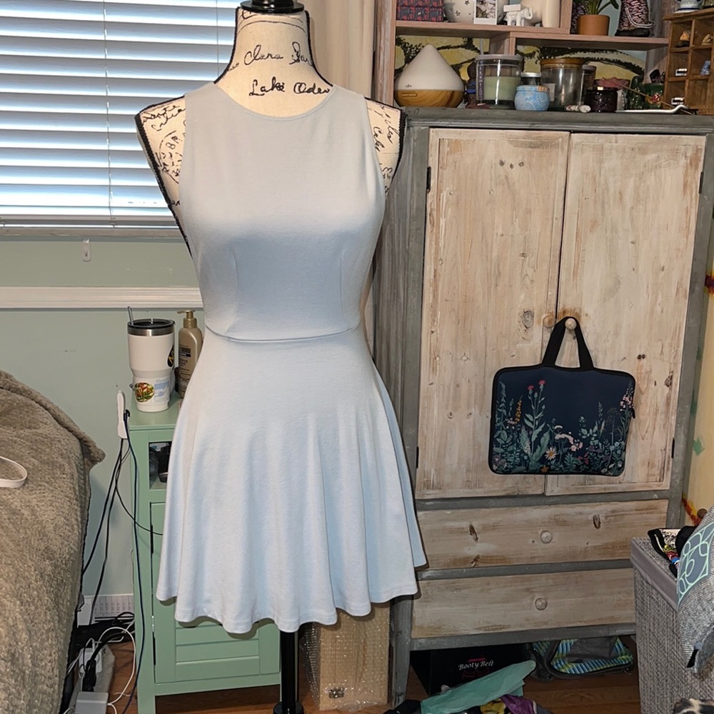 American Appearel Skater Dress